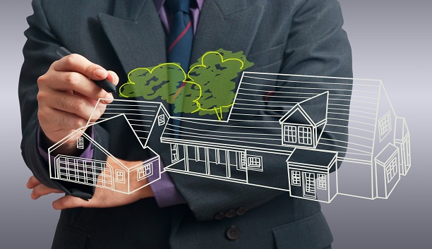 Wealth Holding Strategy & Estate Planning